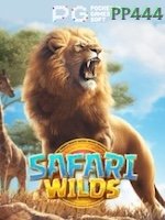 Safari Wilds